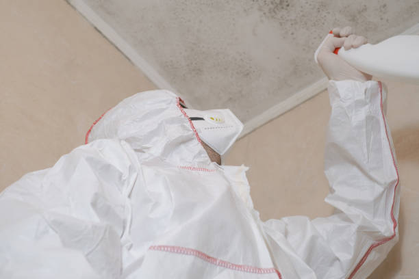Best Crawl Space Mold Removal  in , HI
